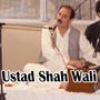 Ustad Shah Wali