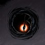 Black Hole