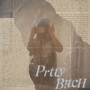 Pretty B!Tch (Explicit)