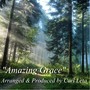 Amazing Grace