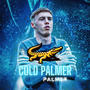 COLD PALMER ($antana Remix)