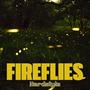 Fireflies (Hardstyle)