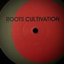 Roots Cultivation