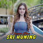 Sri Huning