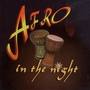 Afro In The Night