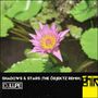 Shadows & Stars (The Öbjektz Remix)