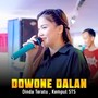 Dowone Dalan