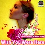 Wish You Were Here