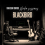 Blackbird