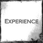 Experience