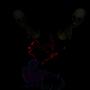 MEWWW (Explicit)