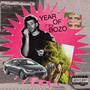 Year of the Bozo (Explicit)