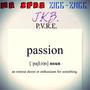 Passion (feat. Zigg-Zagg, J K B & P.V.R.E.) [Explicit]