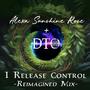 I Release Control (DTO Reimagined Mix)