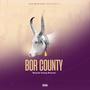 Bor County