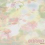 Wildflower