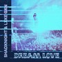 Dream Love (Slowed & Reverb)