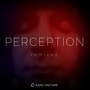 Perception (Remixes)