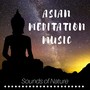 Asian Meditation Music in the Forest with Sounds of Nature