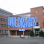Huldragen Ruller Inn (Huldragen 2025) [Explicit]
