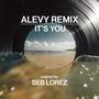 It's You (feat. Seb Lorez) [Radio Edit]