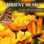 Ambient Music for Studying - Calming Concentration Music to Stimulate Your Brain