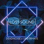 Lost Sound