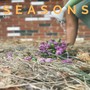 Seasons