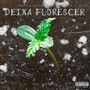 Deixa Florescer (Explicit)