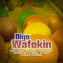 Digo Wafokin (feat. CR Yomar, Young Blacky, Domin Retro, El Roblex, Lil Hashy & Starlin El Tremendo)