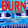 Burn It Down (All Summer Long Sex on Fire) [Explicit]