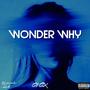 Wonder Why (Explicit)