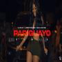 Pariguayo (Quimico, Yailin & La Lava 08 Remix)