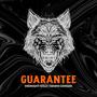 Guarantee (Explicit)