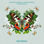 Metamorfosis