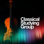 Classical Studying Group