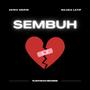 Sembuh (feat. Najwa Latif)