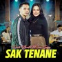 Sak Tenane