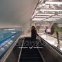 Train of Mine