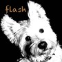 Flash