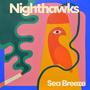 Nighthawks