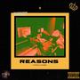 REASONS (Explicit)