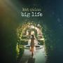 Big Life