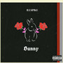 Bunny (Explicit)