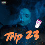 Trip 23