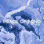 Peace of Mind (feat. Yung Bug) [Explicit]