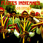 Flutes Indiennes