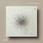scattershot (Explicit)