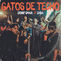 Gatos de Techo (Explicit)