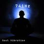 741Hz Throat Chakra Ham